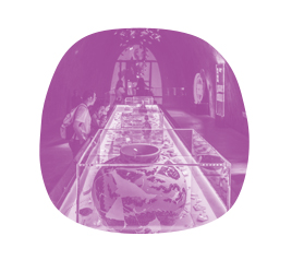 Bulle mauve avec représentation d'exposition